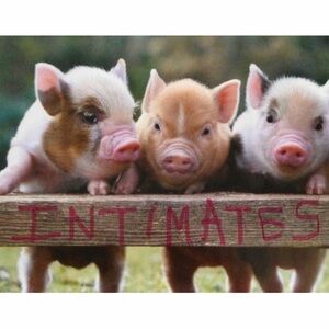 🐷 Ape’s Closet 🐷